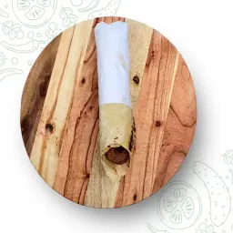 ساندوتش اوصال